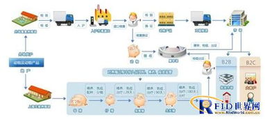 物聯(lián)網(wǎng)技術(shù)賦能上海動(dòng)物及動(dòng)物制品產(chǎn)業(yè)鏈全程監(jiān)管新格局